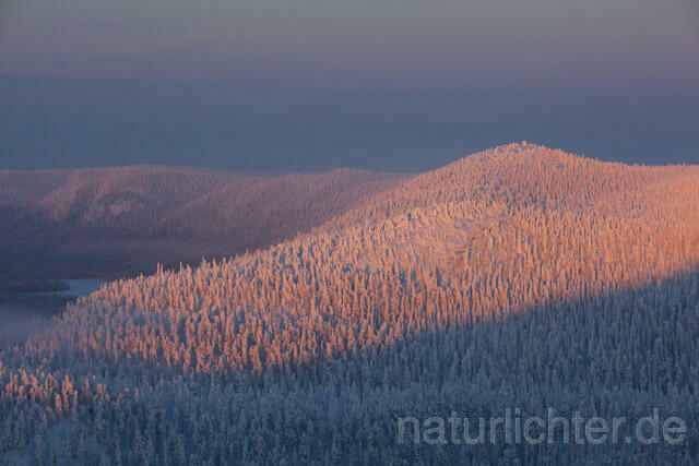 R10115 Valtavaara, Valtavaara-Pyhävaara Natur Reserve, Winter, Finnland, Kuusamo - Christoph Robiller