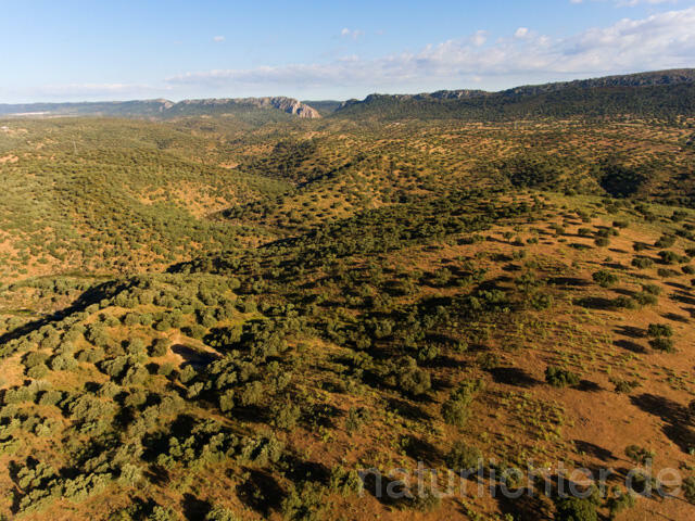R11969 Extremadura, Nationalpark Monfragüe, Luftaufnahme - Christoph Robiller