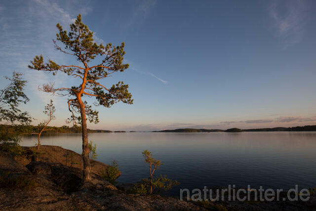 R12334 Finnische Seenplatte, Finnish Lakeland - Christoph Robiller