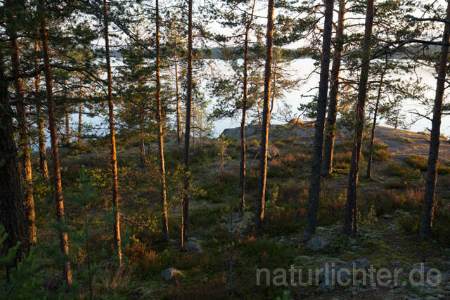 R12335 Finnische Seenplatte, Finnish Lakeland - Christoph Robiller