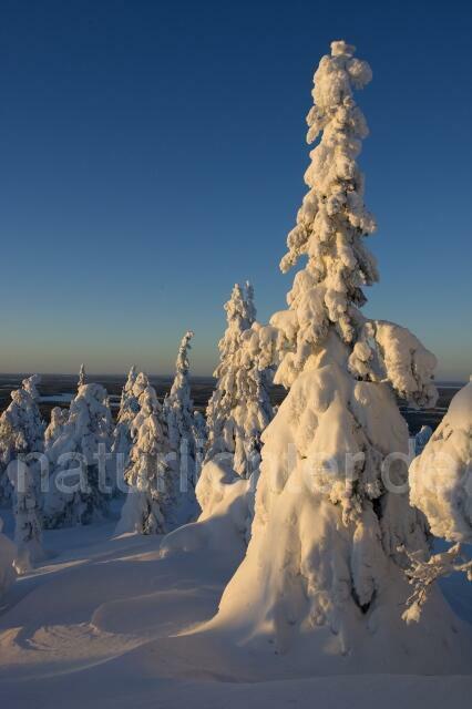 R2077 Winter in Finnland - Christoph Robiller