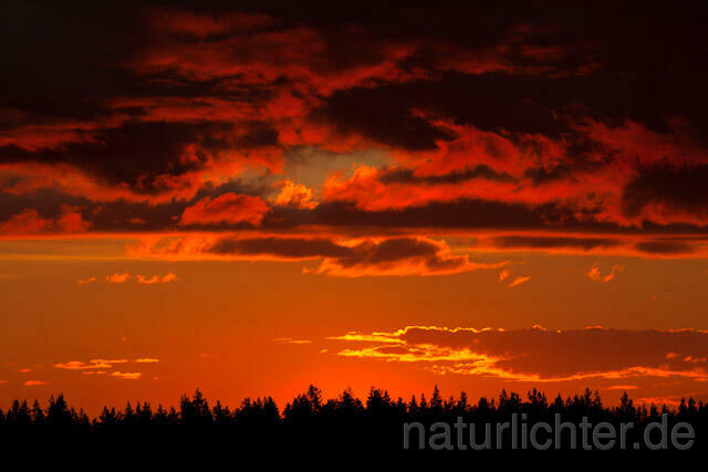 R7909 Abend, Sonnenuntergang, Sunset, Finnland, Finland - Christoph Robiller