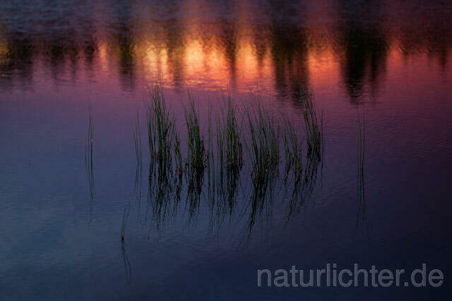 R9450 Sonnenuntergang am See, Finnland - Christoph Robiller