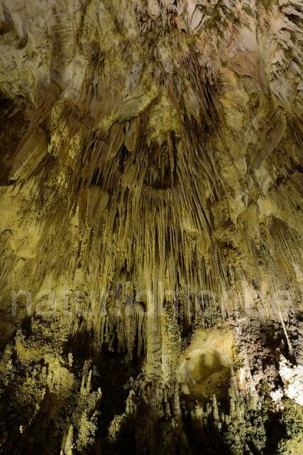 W9299 Carlsbad-Caverns-Nationalpark - Peter Wächtershäuser