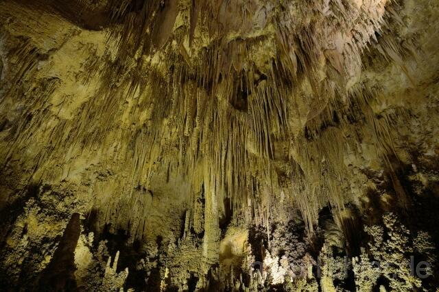 W9300 Carlsbad-Caverns-Nationalpark - Peter Wächtershäuser